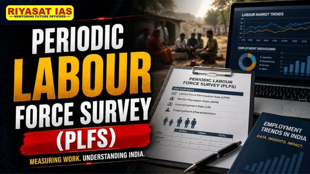 Periodic Labour Force Survey (PLFS)