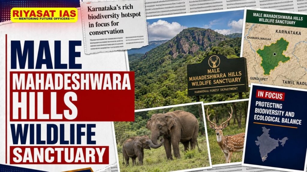 Male Mahadeshwara Hills Wildlife Sanctuary