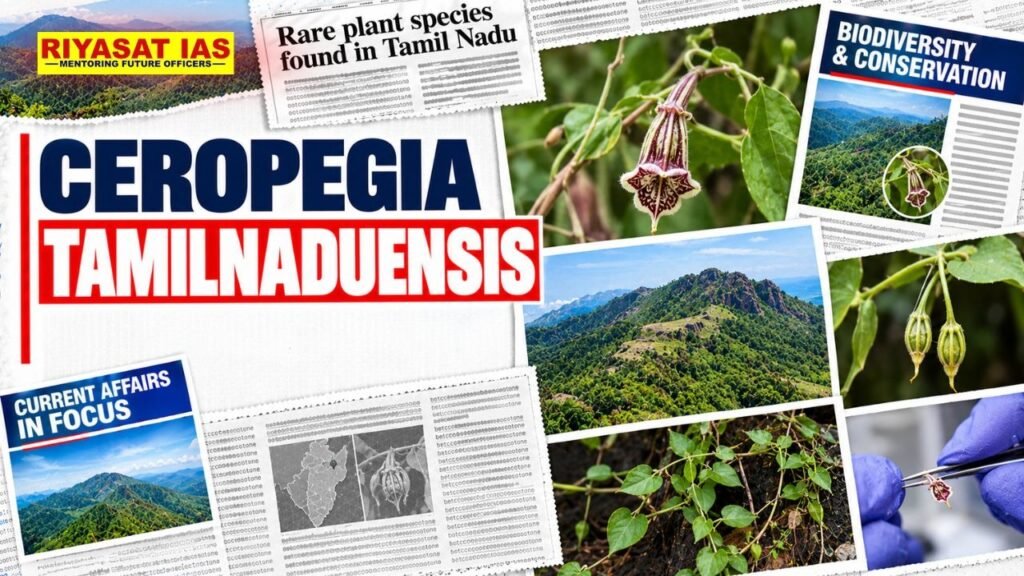 Ceropegia tamilnaduensis